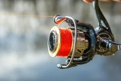 Ultimate Aurum 1000 -Molens populariteit winkel 008017bbc0525a3b