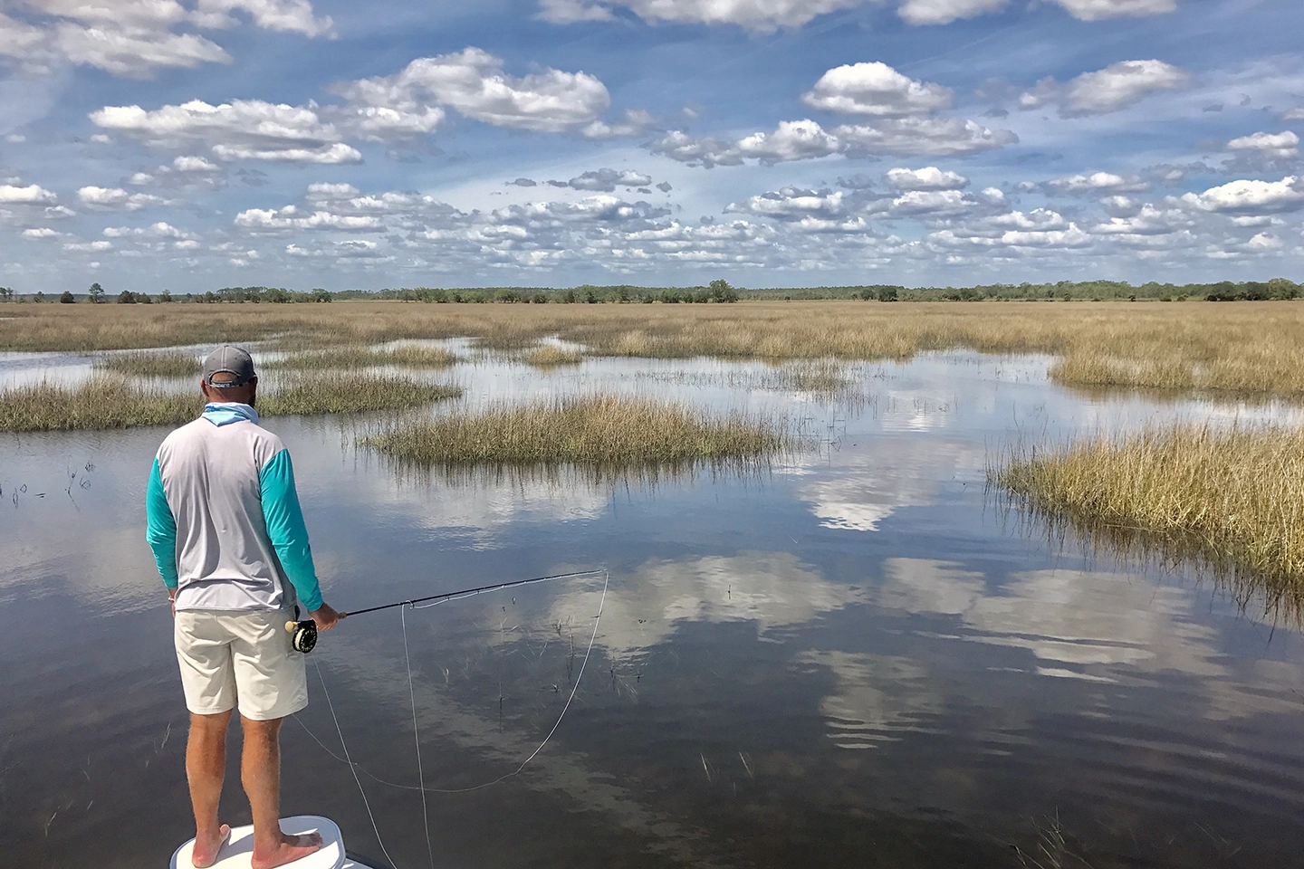 Molens populariteit winkel -Molens populariteit winkel 27