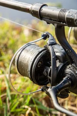 Ultimate Fanatic Freespool 10000