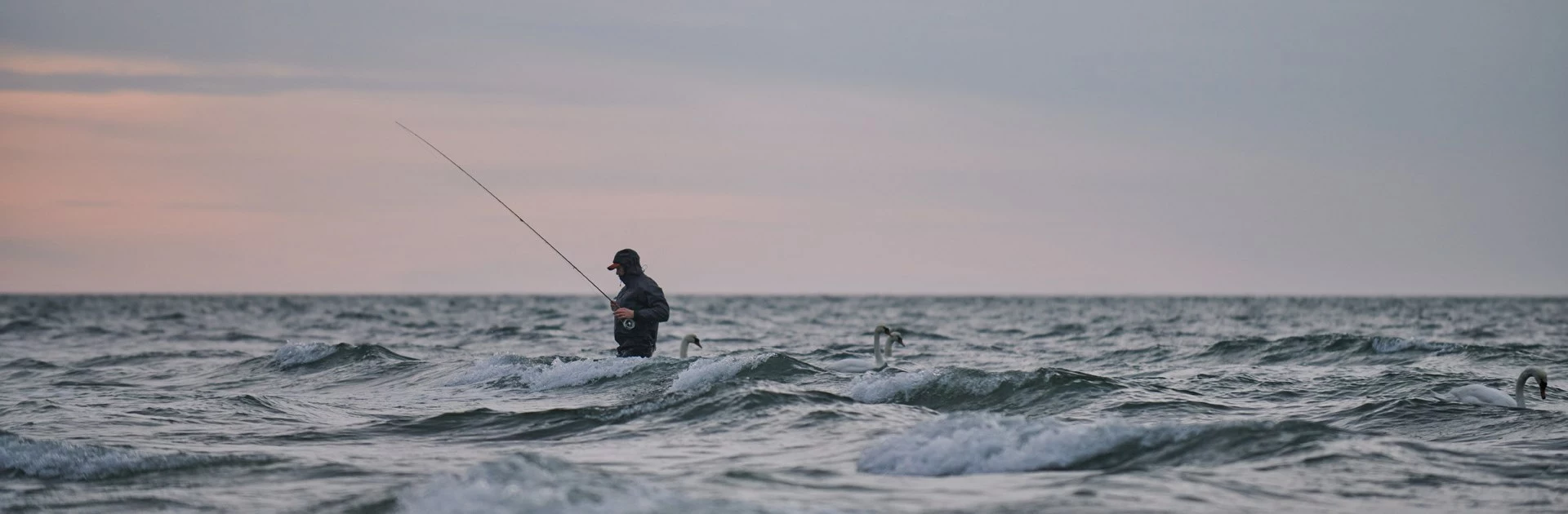 Molens populariteit winkel -Molens populariteit winkel 45