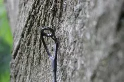 Ashima Travel FFX-S 10ft 3m 3.25Lb -Molens populariteit winkel 4a7d69384d52c63c