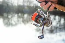 Ultimate Chikara Spider 2500