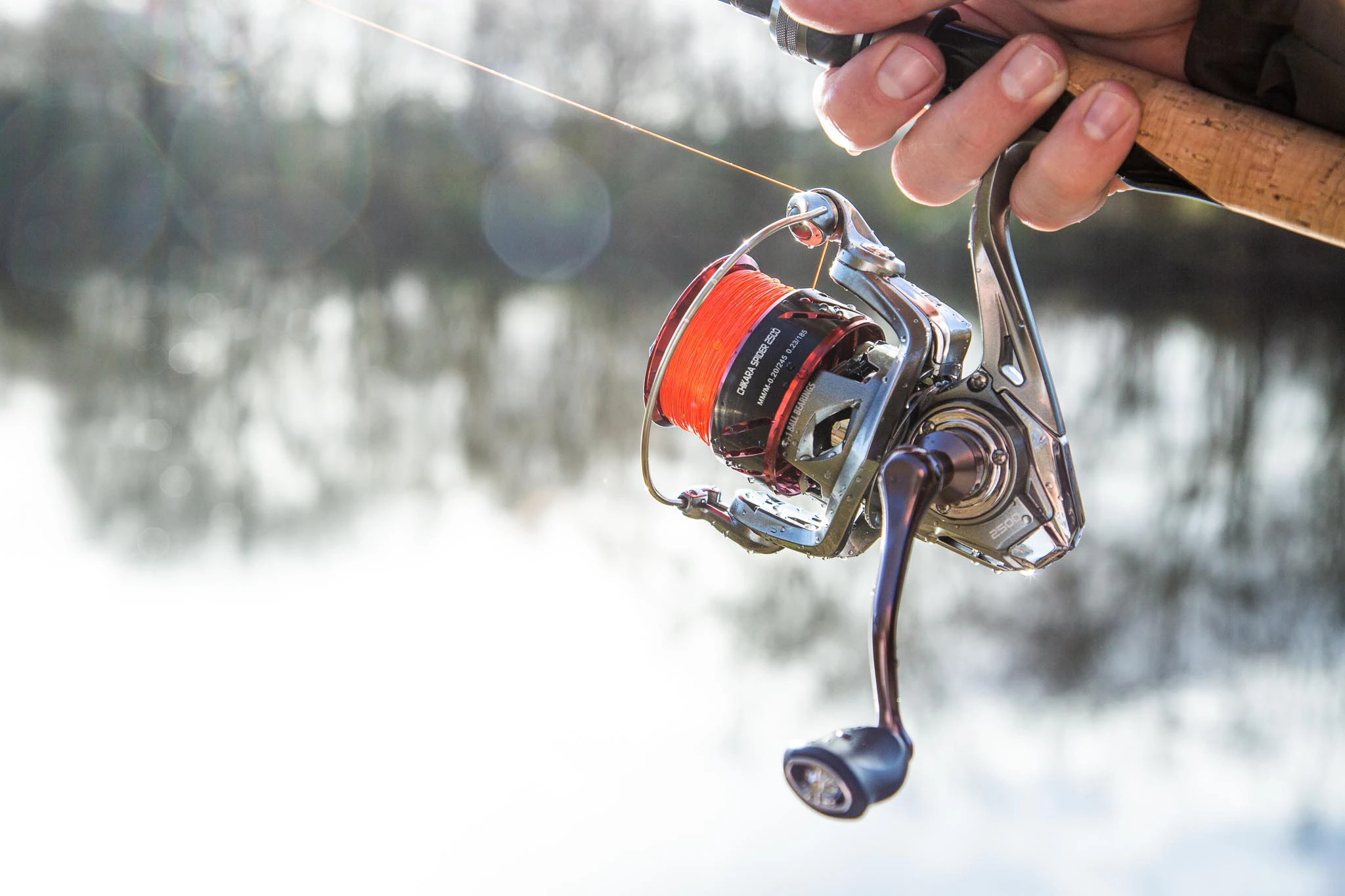 Ultimate Chikara Spider 2500 3 Ultimate Chikara Spider 2500