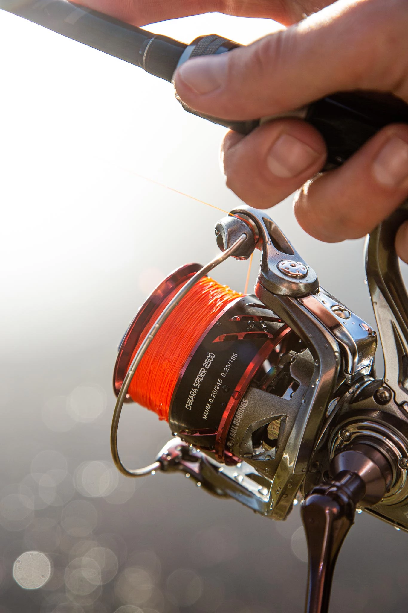 Ultimate Chikara Spider 2500 6 Ultimate Chikara Spider 2500 - Afbeelding 4