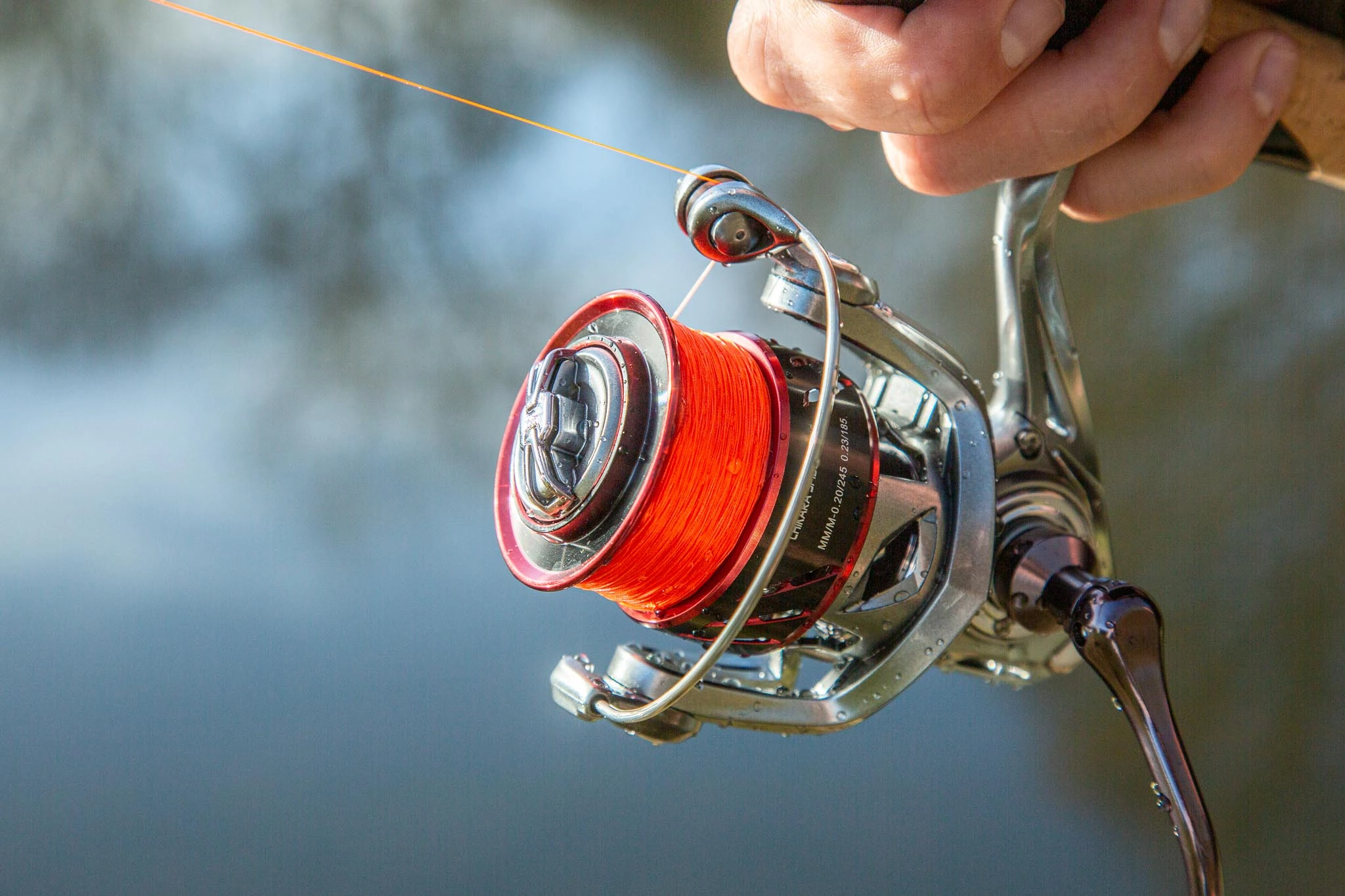 Ultimate Chikara Spider 2500 4 Ultimate Chikara Spider 2500 - Afbeelding 2