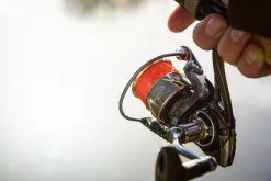 Ultimate Aurum 1000 -Molens populariteit winkel c168ec7738b9c369