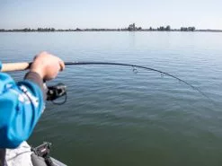 Patriot Ace Doodaashengel 10ft (3lb)