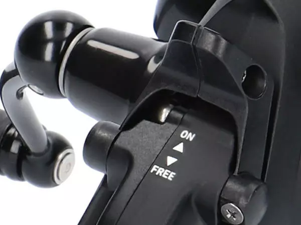 Daiwa 19 Black Widow BR LT 2500 3 Daiwa 19 Black Widow BR LT 2500