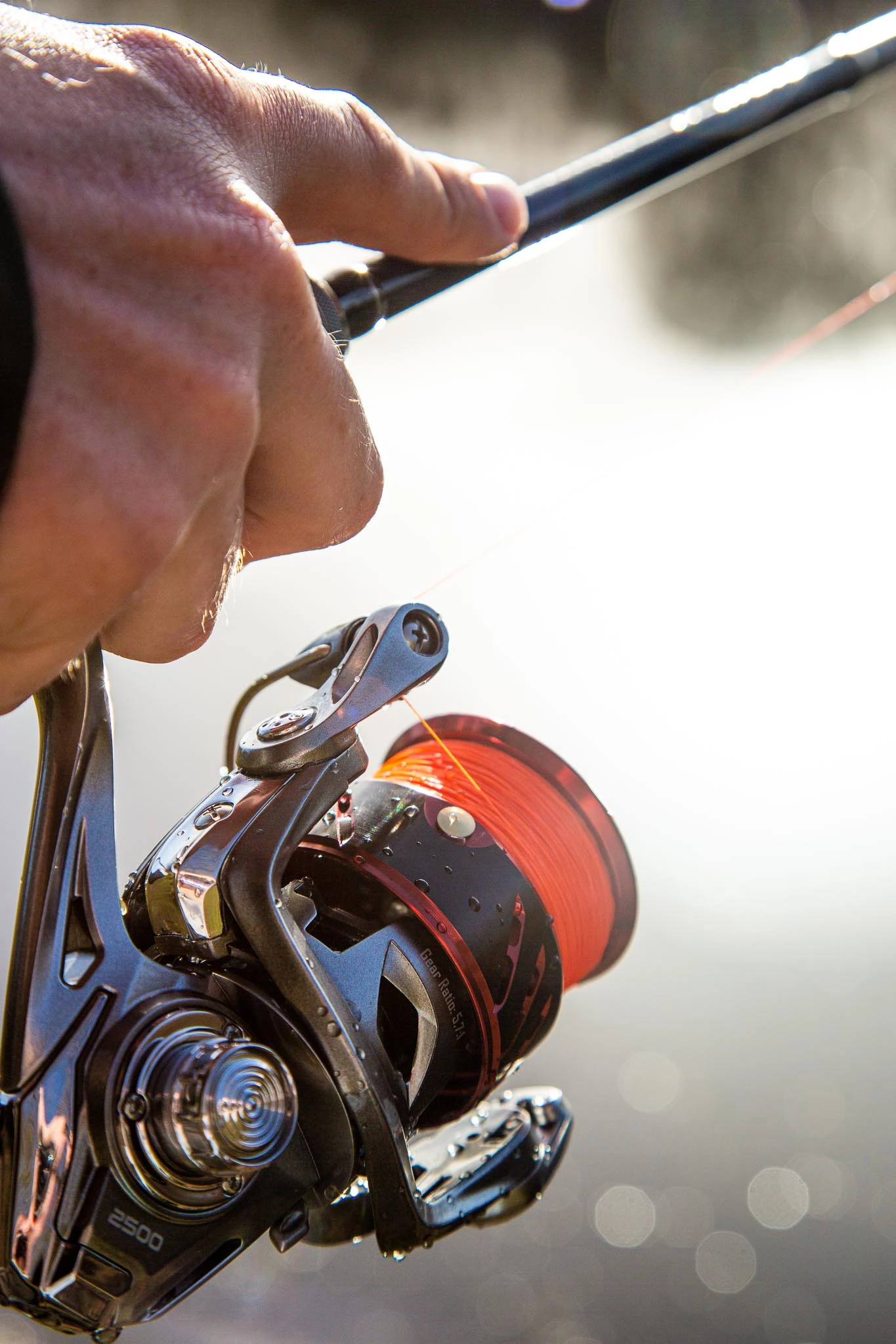 Ultimate Chikara Spider 2500 5 Ultimate Chikara Spider 2500 - Afbeelding 3