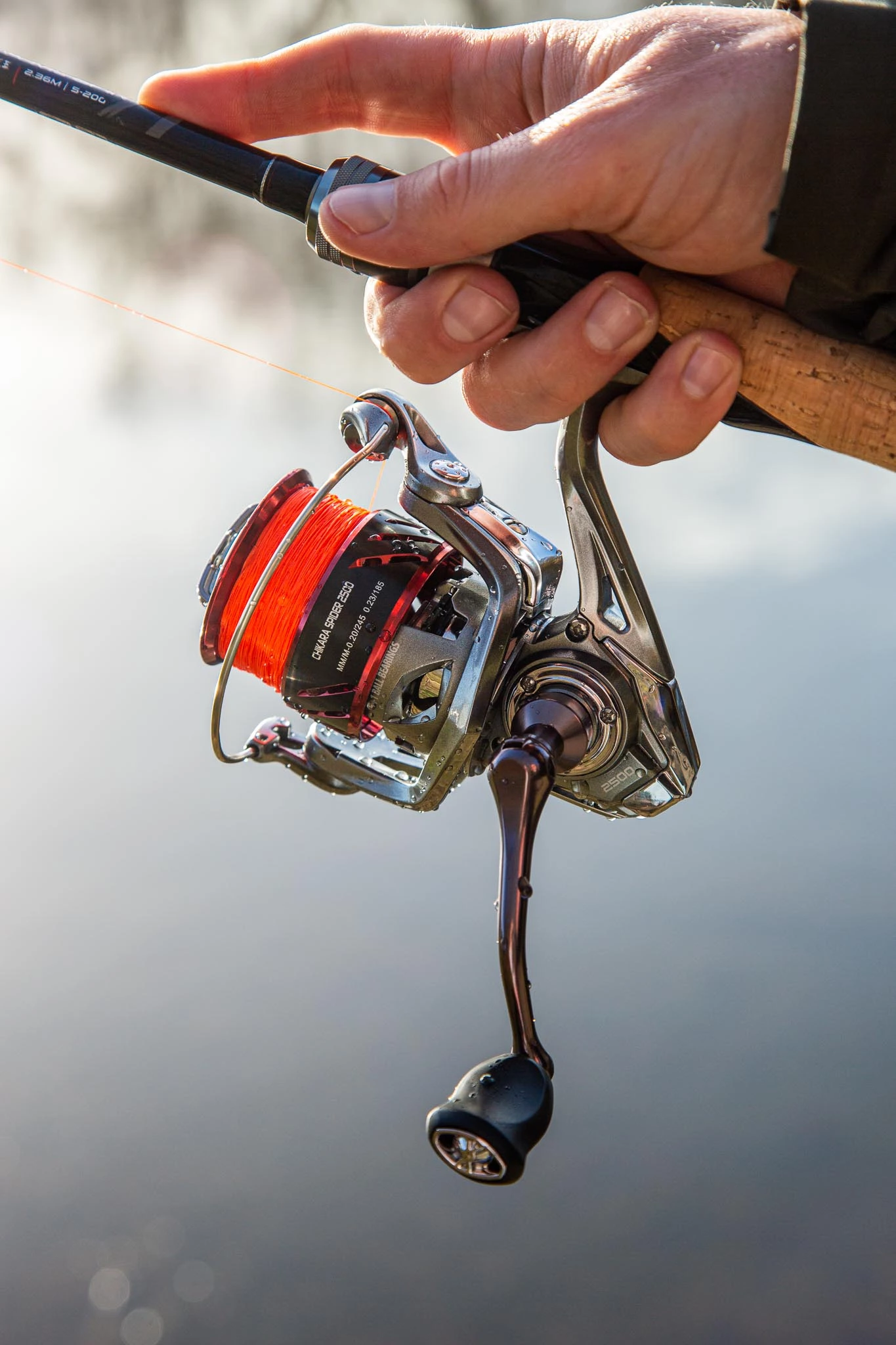 Ultimate Chikara Spider 2500 7 Ultimate Chikara Spider 2500 - Afbeelding 5